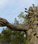 1 D34783 B 47 EC 418 E 8 AAE 0 B54 D795 E15 C 1 105 c