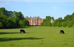 20180812 House Landscape 003