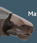 32299 YMT Harold Gosney Exhibition Page Header 1280 373