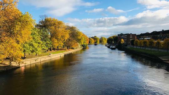 5 E448879 3 EBC 484 F 89 BA 1 D321 A37 E710