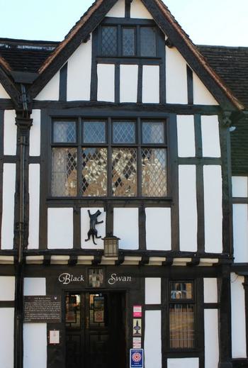 Black swan external 1550541039