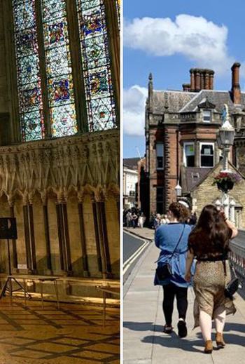 Blog jasmine butterfly