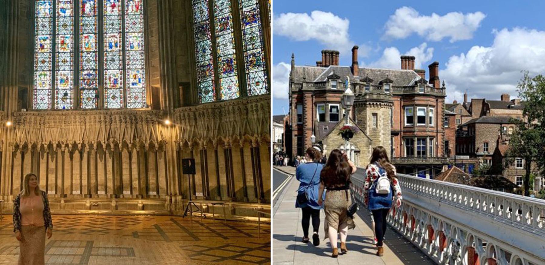 Blog jasmine butterfly