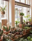 Botanic Interior 169985002