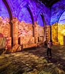 Cag York Van Gough 0024 230481856