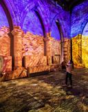 Cag York Van Gough 0024 230481856