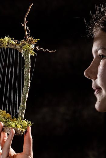 CAG Northwood Trail Fairy Englands Fairy Sanctuary 026 1973332289