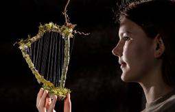 CAG Northwood Trail Fairy Englands Fairy Sanctuary 026 1973332289