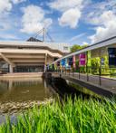 Copy of CH award flags 1816313180