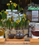 Front For Web 1329881908