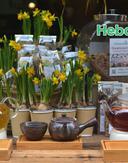 Front For Web 1329881908