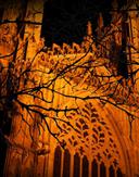 Ghost Walks 472911209