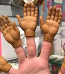 Give the dog a bone 01 1148188990