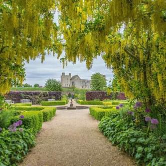 Helmsley Walled Garden Laburnum and Castle 2014820946