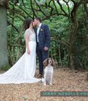 Image with credit 378853239