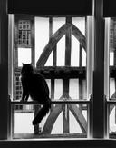 Marley in our library room, overlooking Goodramgate