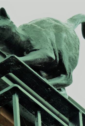 P1200855 2 890026869