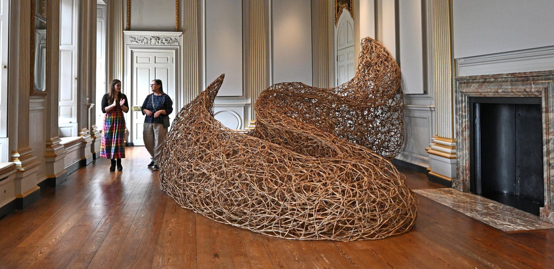 Thicket in the Saloon Beningbrough Wilderness Exhibition c National Trust Anthony Chappel Ross 2 1