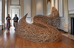Thicket in the Saloon Beningbrough Wilderness Exhibition c National Trust Anthony Chappel Ross 2 1