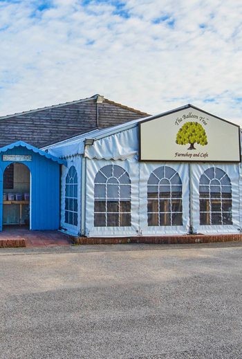 Thumbnail RAL 6701 2