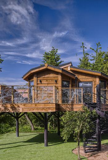 Tree Hs Ext 1 copy 2 816206753