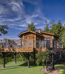 Tree Hs Ext 1 copy 2 816206753