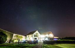 Wood Large 594 716894063