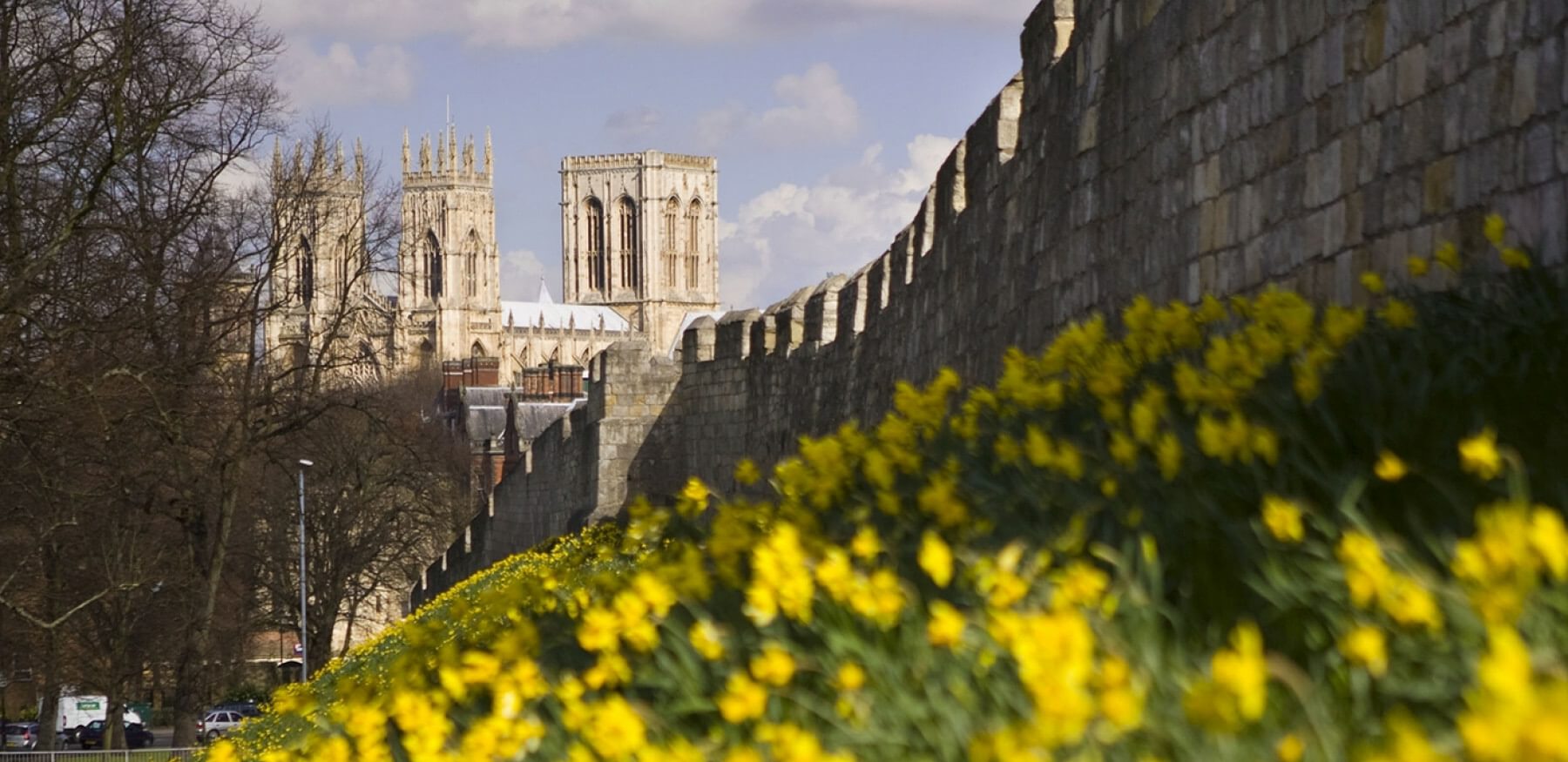 York City Walls Free Things Blog