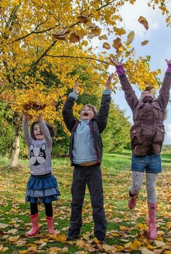 Yorkshire arboretum Autumn children 1819205965