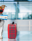 City Spare Space Visit York